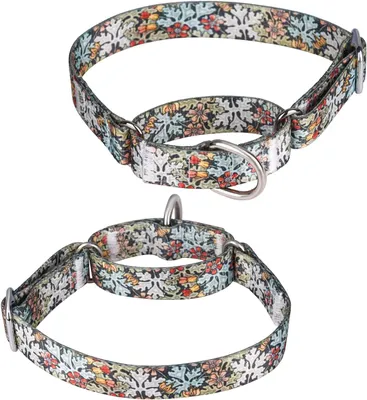 Imagen del producto de Collar martingale ajustable para perros, hecho de nylon, con una longitud de 36-45 cm, ideal para entrenamiento y paseos