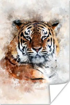 Produktbild von MuchoWow® Poster Tiger - Kopf - Nebel 20x30 cm - Papierdruck