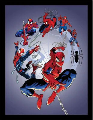 Produktbild von Spider-Man - Gerahmtes Poster, Kreis-Stil PM8544 (40 cm x 30 cm) (Grau/Rot/Blau)
