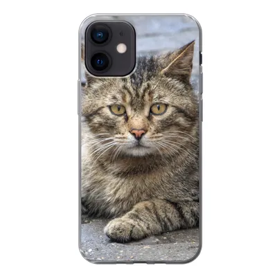 Produktbild von MuchoWow® Handyhülle Schutzhülle Hülle für iPhone 12 Katze - Tier - Braun - Mädchen - Kinder - Jungen - Kind Silikon Softcase Handy Hülle - Schutzhülle