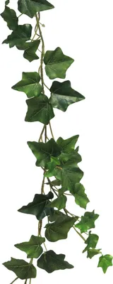 Produktbild von artplants.de Dekogirlande Efeu LANSHUO, dunkelgrün, 180 cm - Deko Pflanzen Girlande