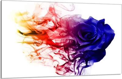 Image de Plaque de recouvrement pour cuisinière 80x52cm en 1 partie Couverture de la plaque vitrocéramique, Rose multicolore