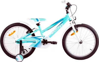 Obrázek produktu pro Dětské kolo SPRINT, CALYPSO 20 palců, 1 SP, Residierte, HARDTAIL, ALLOY