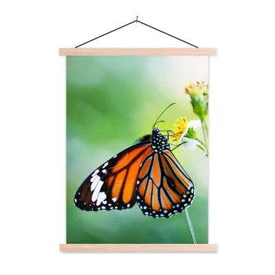 Produktbild von MuchoWow® Textilposter Schmetterling - Blumen - Insekten 60x80 cm mit holzfarbenen Rahmen - Wandbild