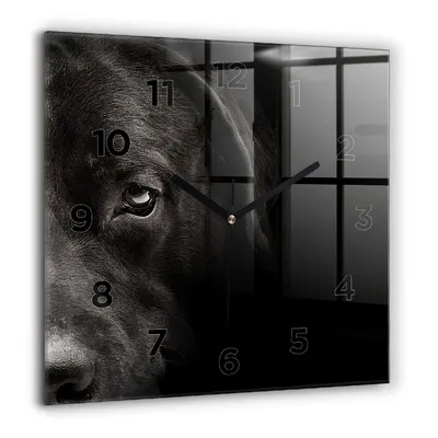 Produktbild von Wallfluent Große Wanduhr – Stilles Quarzuhrwerk - Uhr Dekoration Wohnzimmer Schlafzimmer Küche - Zifferblatt - schwarze Zeiger - 60 cm - Schottischer Hund und Katze