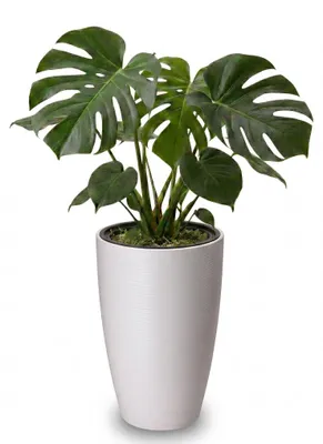 Produktbild von Großer Outdoor Blumentopf CALMO licht-grau in 39 x 58 cm