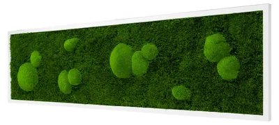 Produktbild von Moosbild Forest Design (140x40, weiß)