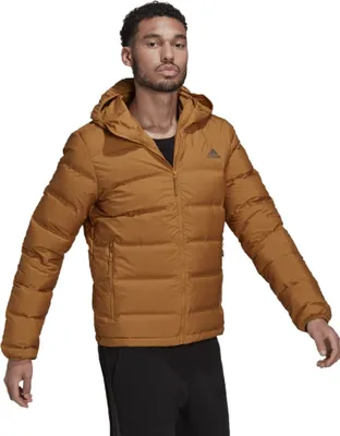 Produktbild von Adidas Jacken Helionic Down Hooded, GU3953, Größe: 182