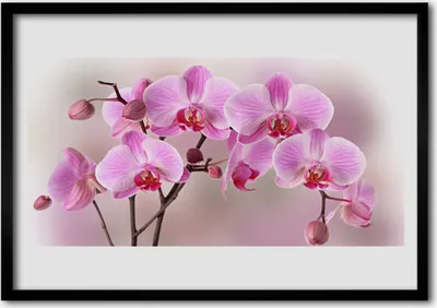 Produktbild von Bild 100x70 MDF-Rahmen Wandkunst Blumen Pflanzen Natur