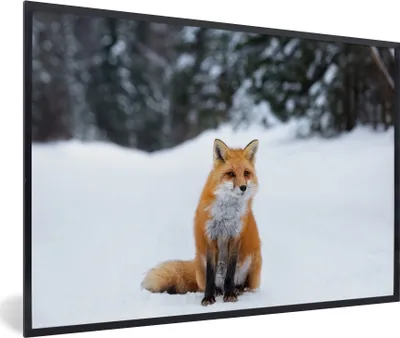 Produktbild von MuchoWow® MuchoWow® Gerahmtes Poster Fuchs - Schnee - Wald 90x60 cm - Poster mit zchwarzem Bilderrahmen - Fotorahmen - Foto-Plakat