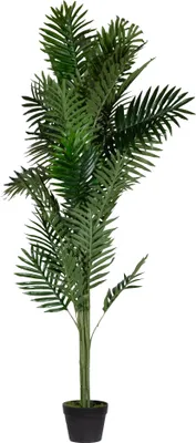 Image de Paperflow Plante artificielle PAPALM160 Palmier 160cm