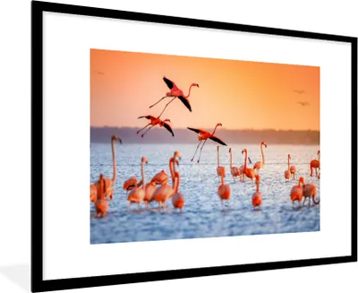 Produktbild von MuchoWow® Gerahmtes Poster Vogel - Flamingo - Wasser - Sonnenuntergang - Rosa 90x60 cm - Poster mit Schwarzem Bilderrahmen Wandposter Rahmen Foto Bilder - Wanddekoration - Fotos