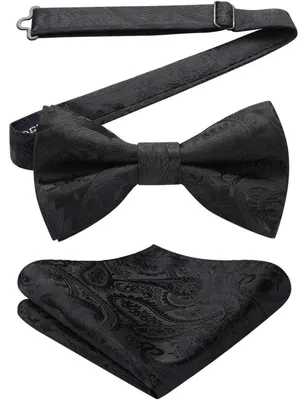 Produktbild von Fliege mit Einstecktuch für Herren, einfarbig, verstellbar, Schwarz, Set