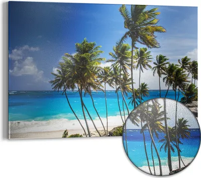Produktbild von DEQORI Magnettafel Metall 60x40 cm 'Tropenparadies' Whiteboard Pinnwand Magnetboard Büro