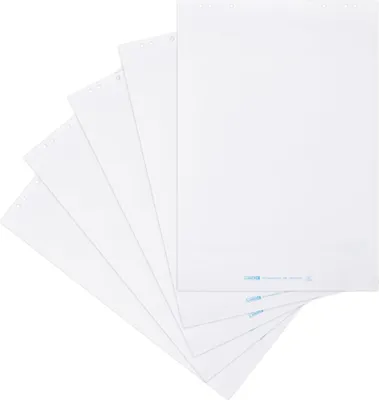 Produktbild von LANDRÉ Flipchart-Papier Recycling, blanko, 5x20 Blatt, 6-fach Lochung