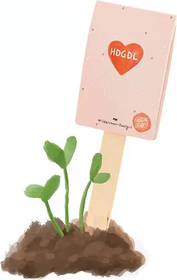 Produktbild von Saatgruß „HDGDL – Hab dich ganz doll lieb“ – Grußkarte mit Wildblumen-Saat – Nachhaltiges Geschenk für Partner, Freunde & Familie – Blumengruß zum Einpflanzen