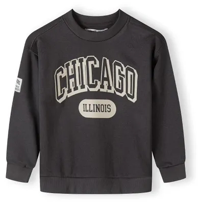 Image de Pull à capuche Minoti, gris foncé, taille 140, pour garçons