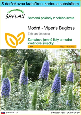 Obrázok produktu pre SAFLAX Darčeková sada - Modrá - Viper's Bugloss - Echium fastuosa - 100 Semená - S darčekovou krabičkou, prepravným štítkom, darčekovou kartou a pestovateľským médiom