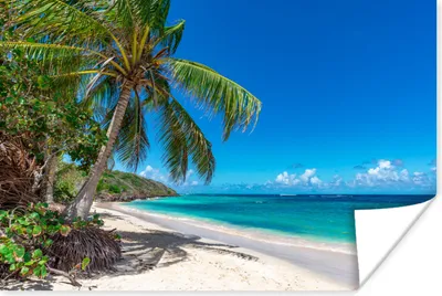 Produktbild von MuchoWow® Poster Strand - Meer - Tropisch 90x60 cm - Schlafzimmer