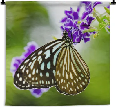 Produktbild von MuchoWow® Wandteppich Wandbehang Lavendel - Schmetterling - Botanisch 120x120 cm Tapisserie Dekoration Wandtuch - Modern - Baumwollgewebe
