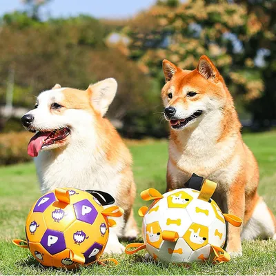 Produktbild von Hundespielzeug Hundefußball mit Griffen und Pumpe - Interaktiver Hundeball für kleine und mittelgroße Hunde - Wasserspielzeug für Hunde - Gelb 15 cm