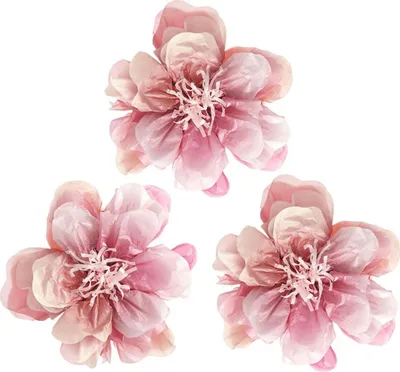 Produktbild von Seidenpapierblumen Wildrose, M,MIX, Ø 28 cm, 3 Stk