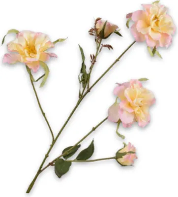 Produktbild von Kunstblume von Silk-ka – Seidenblumen-Rosenzweig, rosa-gelb, 88 cm