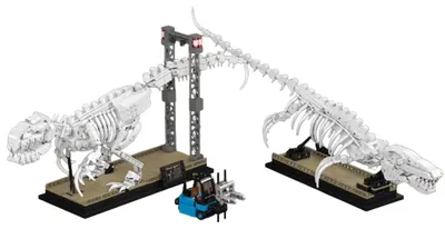 Obrázok produktu pre 29005 – Kostra dinosaura (Mould King)