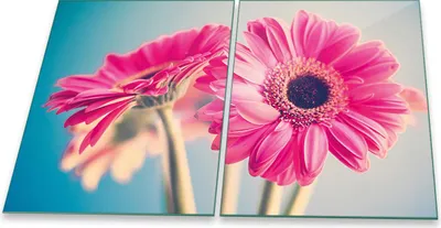 Produktbild von Herdabdeckplatten Glaskeramik Spritzschutz Glas Universal 2-Teilig 2x40x52 Blumen Pink