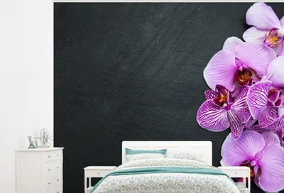 Produktbild von MuchoWow® Fototapete für Wohnzimmer oder Schlafzimmer Wandtapete Vinyl Motivtapete Orchidee - Blumen - Rosa - Flora - 375x300 cm - Tapezierpapier