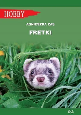 Zdjęcie produktu dla Fretki