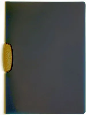 Produktbild von Durable Klemm-Mappe A4 30 Blatt bl SWINGCLIP color