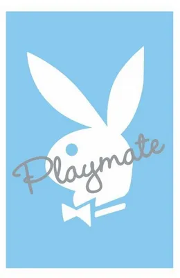 Image de PLAYBOY - Playmate blue - 61x91,5cm - Affiche Poster