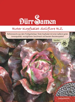 Artikelbild 1 von 'Kopfsalat Soliflore RZ rot' aus der Kategorie Kopfsalatsamen