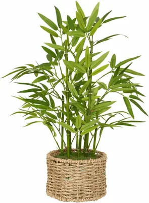 Zdjęcie produktu dla Sztuczna bambusowa roślina w doniczce, 46 cm, z realistycznymi liśćmi, łatwa w pielęgnacji, idealna do salonu