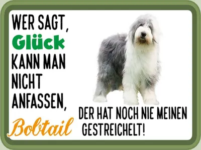 Produktbild von vianmo Holzschild 30x40 cm Glück nicht anfassen Bobtail