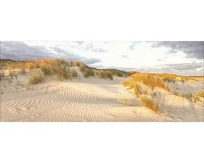 Produktbild von Glasbild Sunset Atmosphere 125x50 cm