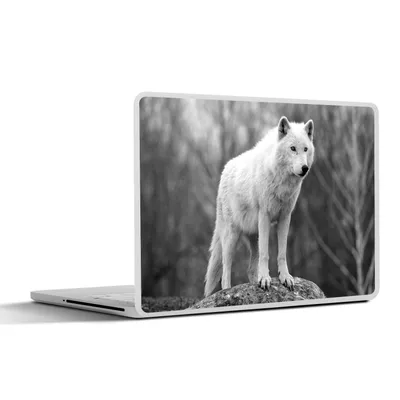 Produktbild von MuchoWow® Laptop Aufkleber Sticker Cover Wolf auf einem Stein - schwarz und weiß 36.5x27.5 cm - Laptop-Sticker