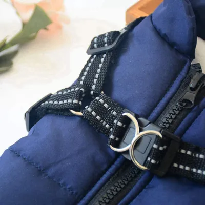 Close-up of a blue dog jacket with a black harness and zipper.
