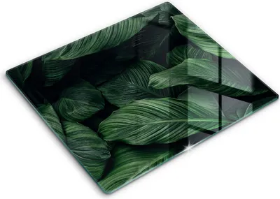 Produktbild von Abdeckung Glas - Küchenabdeckung - 60x52 cm - Abdeckplatte -Dunkle Blätter