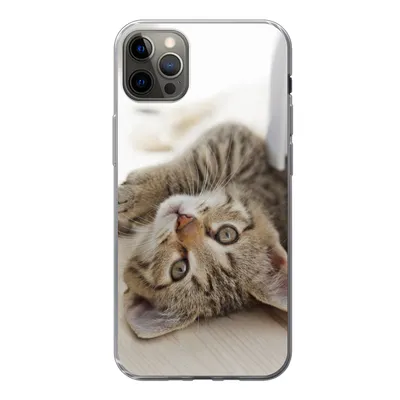 Produktbild von MuchoWow® Handyhülle Schutzhülle Hülle für iPhone 13 Pro Max Kätzchen - Sonne - Braun - Mädchen - Kinder - Jungen - Kind Silikon Softcase Handy Hülle - Mobiltelefon