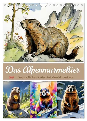 Produktbild von Das Alpenmurmeltier (Wandkalender 2027 DIN A4 hoch), CALVENDO Monatskalender