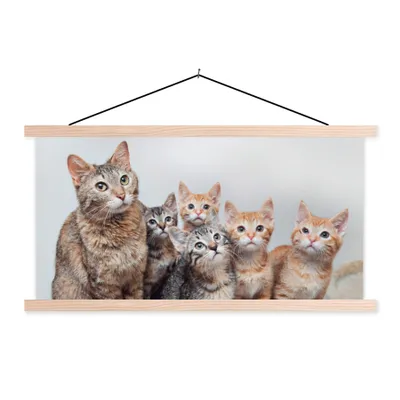 Produktbild von MuchoWow® Textilposter Katze - Kätzchen - Fell 60x30 cm mit holzfarbenen Rahmen - Dekoration