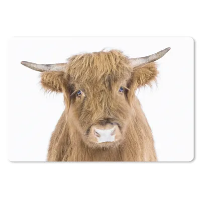 Produktbild von MuchoWow® Schreibtischunterlage Schottischer Hochländer - Tiere - Braun - Natur 60x40 cm - XXL Mauspad - Großes Mauspad