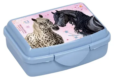 Produktbild von Mini-Snackbox - Pferdefreunde, blau