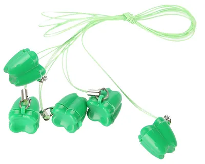 Immagine prodotto di 5 pezzi di plastica per conservare i denti da latte dei bambini con collana salvadenti verde