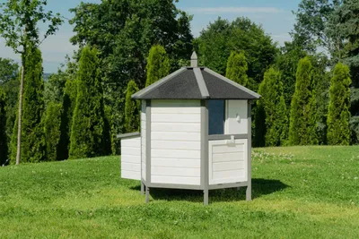 Produktbild von MyAnimal Hühnerstall MH-29 | Für 4 Hühner - Hühnerhaus 6-Eckig - Sitzstange - Nistkasten - Eiablage - Dach Wasserabweisend & Abnehmbar - (Grau/Weiß)