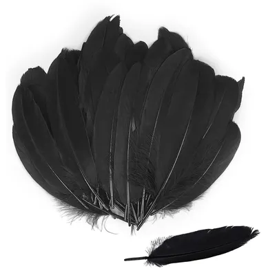 100 schwarze Federn 10-15 cm für DIY-Basteln & Deko