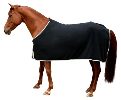 Produktbild von Fleecedecke RugBe Economic schwarz, 125 cm