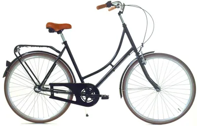 Zdjęcie produktu dla Rower Dallas Holland City 28" 3spd Damka - czarna z brązem